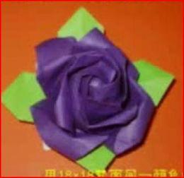 折玫瑰的视频,折玫瑰的艺术与情感表达