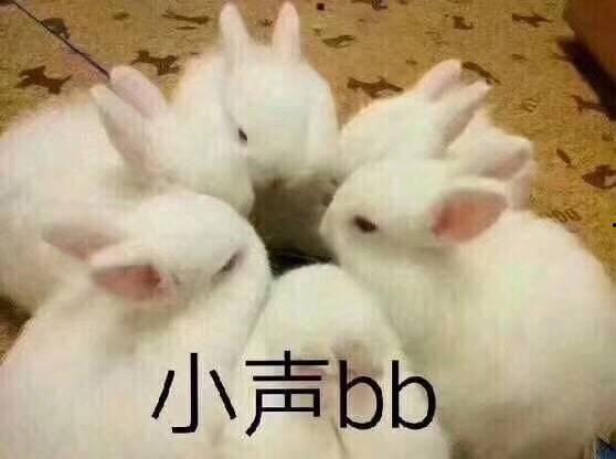 娱乐吃瓜酱兔子视频,揭秘娱乐圈幕后故事