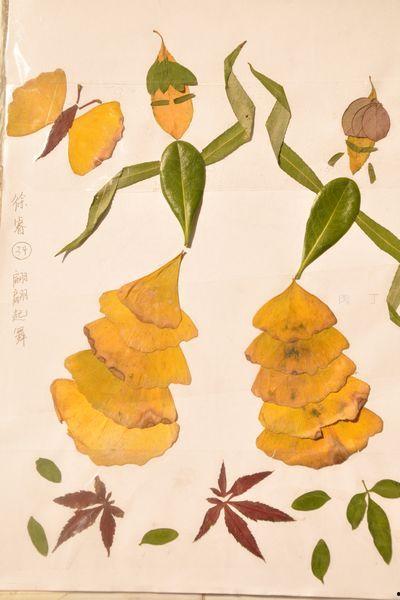 树叶画图片大全,自然之美与创意融合的视觉盛宴