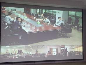公司视频,视频深度解析