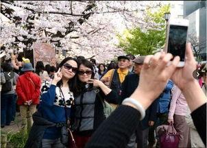 中国游客挤爆日本,日本旅游市场迎来狂欢热潮
