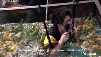 蟒蛇电影国语,惊悚深林中的生死较量