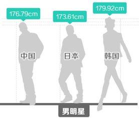 韩国人均身高,东亚国家中的“高个子”现象
