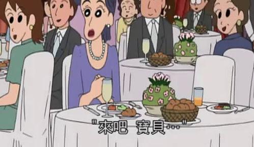 蜡笔小新5季国语目录,欢乐时光，成长瞬间