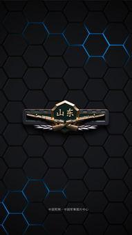 部队胸标图片大全,部队胸标图片大全解析