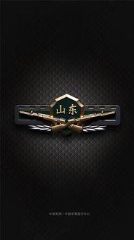 部队胸标图片大全,部队胸标图片大全解析