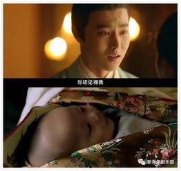 颤抖吧啊部在线观看,在线观看，揭秘校园生活的惊悚面纱
