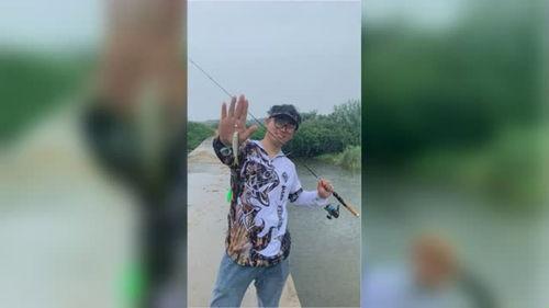 路亚马口视频,视频教学带你轻松征服水域