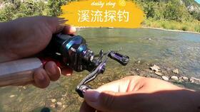 路亚马口视频,视频教学带你轻松征服水域