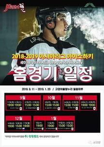 韩国19加,崛起的力量与未来展望