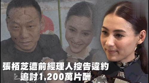 娱乐群里有多少人吃瓜,揭秘瓜分众生相