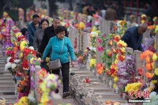 祭奠亲人图片大全,祭奠亲人图片大全中的深情追忆