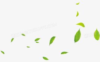 树叶贴纸图片大全,打造童趣盎然的艺术世界