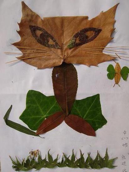 树叶贴纸图片大全,打造童趣盎然的艺术世界