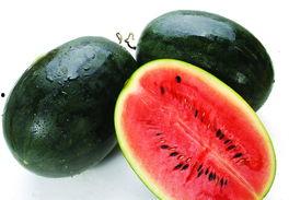 黑瓜吃料网的功能介绍,一站式食材采购与信息服务平台