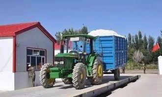 瓜州今日棉花籽棉收购价,行情动态解析