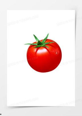 西红柿图片大全大图,大图解析各类美艳西红柿