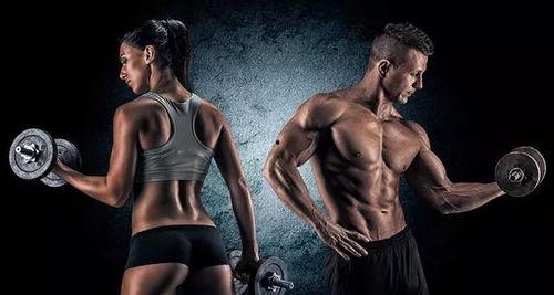 图片健身,从零到健身达人的蜕变之路