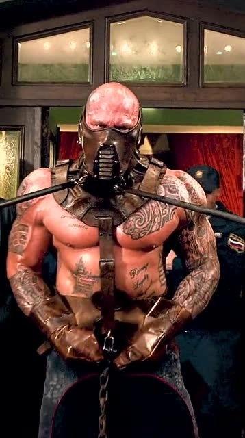 终极斗士4 在线观看,激战正酣，在线观看热血沸腾