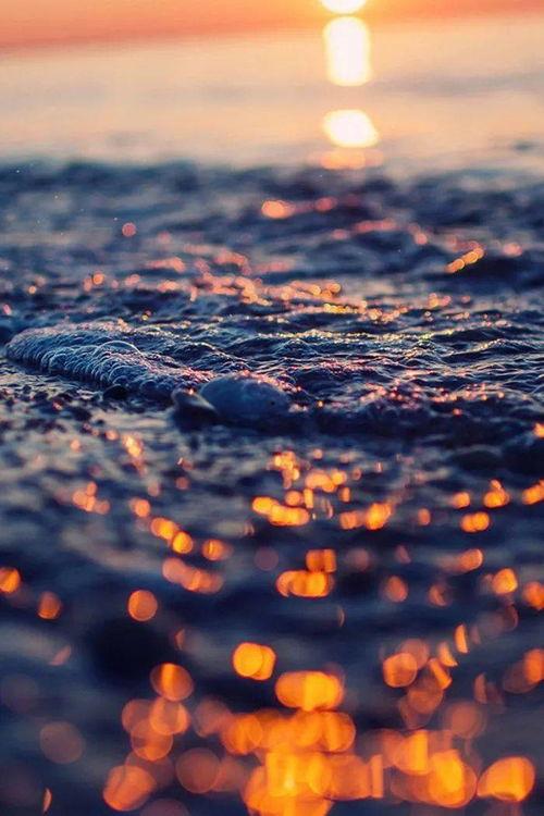 图片唯美大全,唯美图片大全赏析