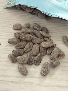 吊瓜子的图片,探寻传统美食的视觉盛宴