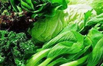 人星菜图片功效吃法