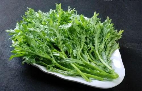 人星菜图片功效吃法