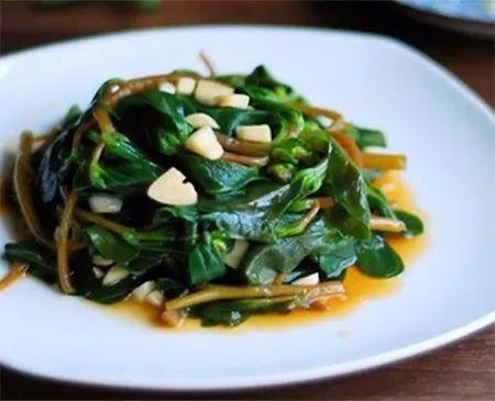 人星菜图片功效吃法