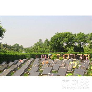 四川坟墓图片大全,探寻巴蜀大地上的千年古韵