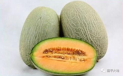 万邦7.16哈密瓜今日行情,市场动态与价格走势解析