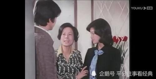 日本电视剧血疑,揭秘家族秘密与复仇之路