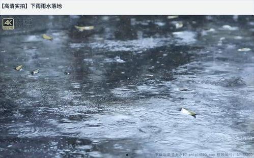 雨天的视频,捕捉城市雨景的瞬间魅力