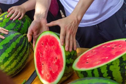 今日流行吃瓜,揭秘娱乐圈最新热点事件