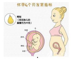 小女孩怀宝宝图片大全,小女孩与宝宝的温馨瞬间