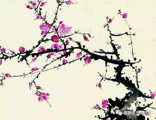 画梅花的视频