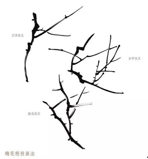 画梅花的视频