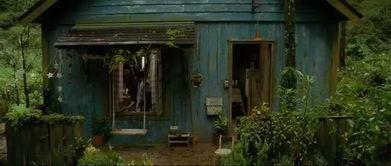 小木屋电影在线观看,穿越时光的温馨之旅