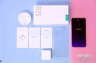 日本r15,日本R15标准下的汽车安全性能解析